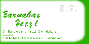 barnabas hetzl business card